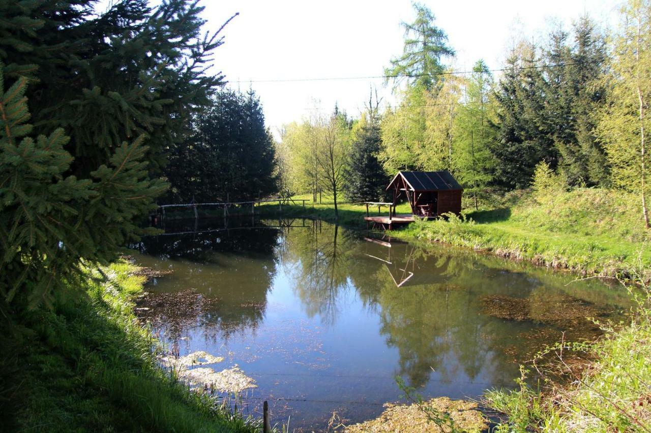 Hlebowka Siedlisko W Sudetach Villa Lubawka Exterior photo